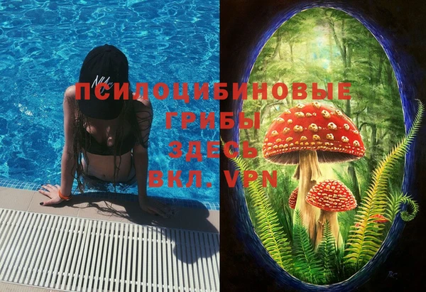 гидра Абинск