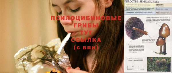 а пвп мука Абдулино