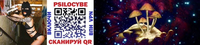 mega зеркало  Осташков  Галлюциногенные грибы Cubensis 